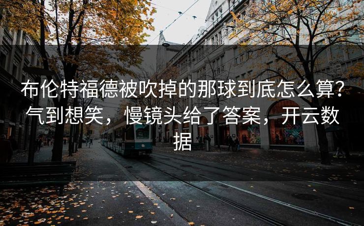 布伦特福德被吹掉的那球到底怎么算？气到想笑，慢镜头给了答案，开云数据