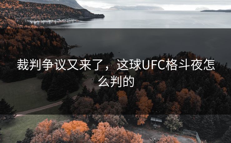 裁判争议又来了，这球UFC格斗夜怎么判的