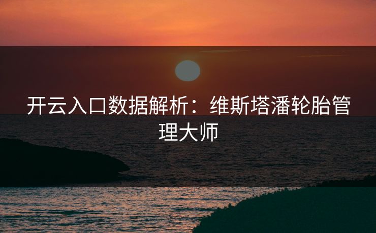 开云入口数据解析：维斯塔潘轮胎管理大师