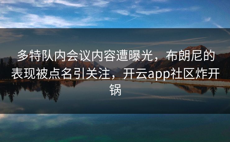 多特队内会议内容遭曝光，布朗尼的表现被点名引关注，开云app社区炸开锅